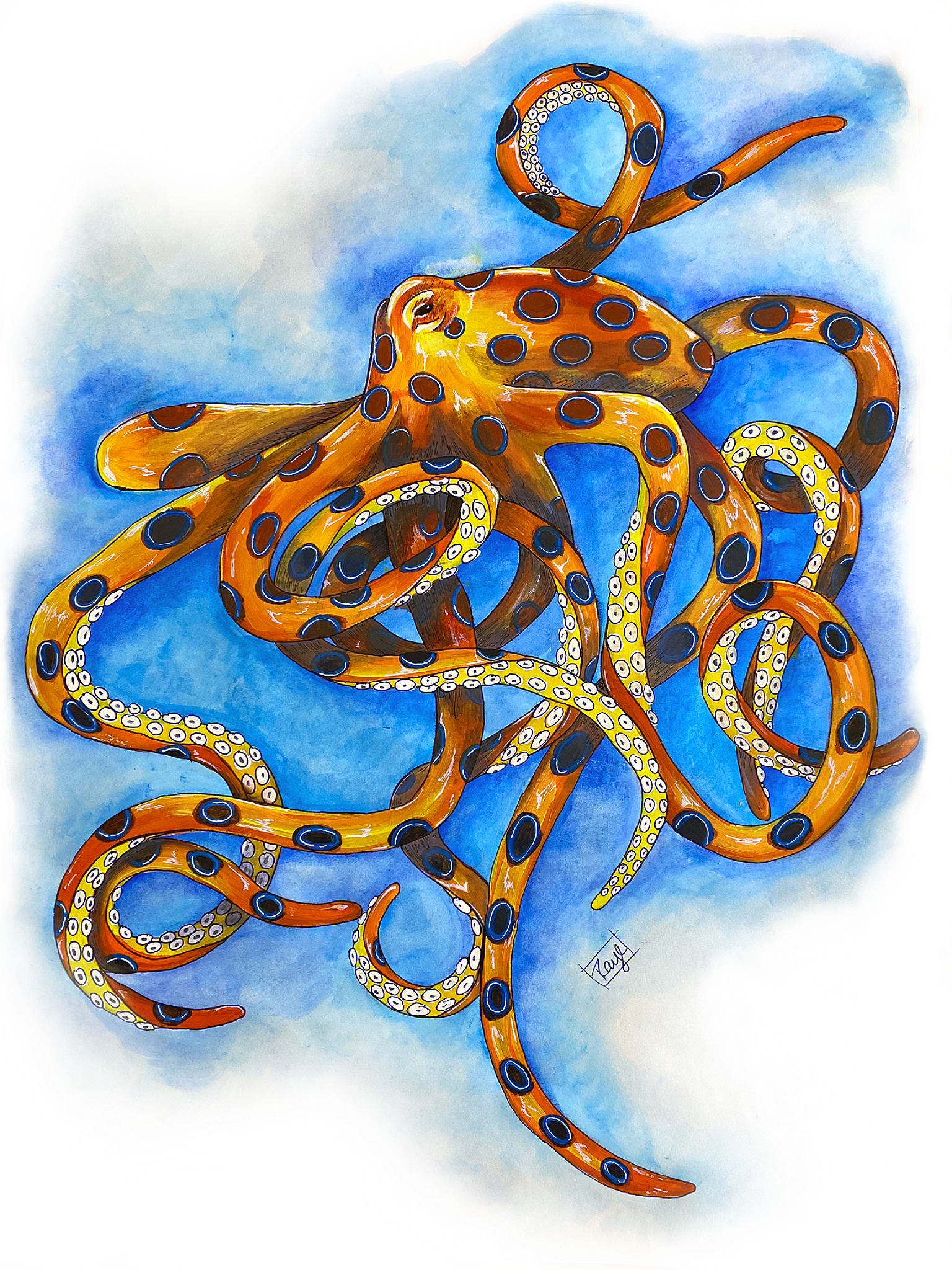Giclee art on Canvas-Octopus
