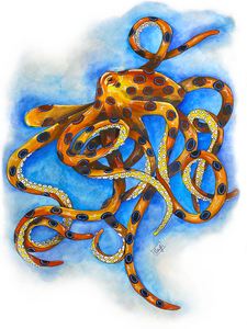 Giclee art on Canvas-Octopus