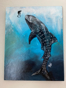 Whale Shark and Diver 11x14